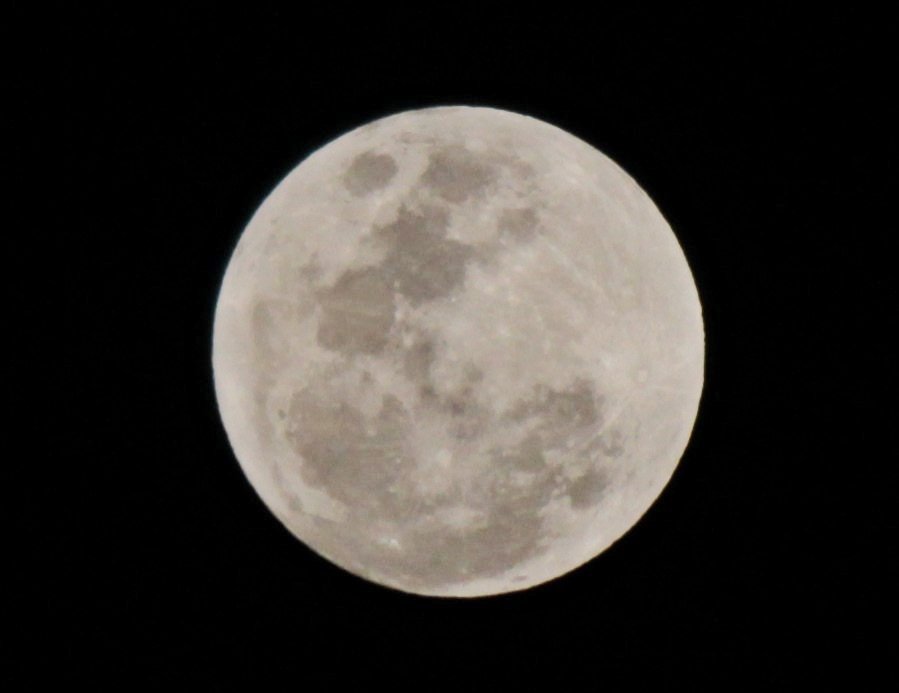 📸💚 tweet media