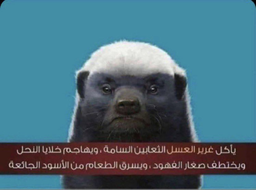 S tweet media