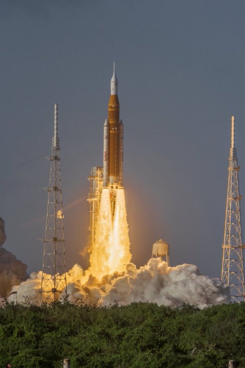 Benny Johnson tweet media