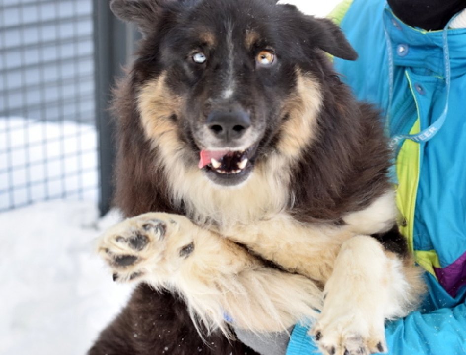 Not the Same tweet media