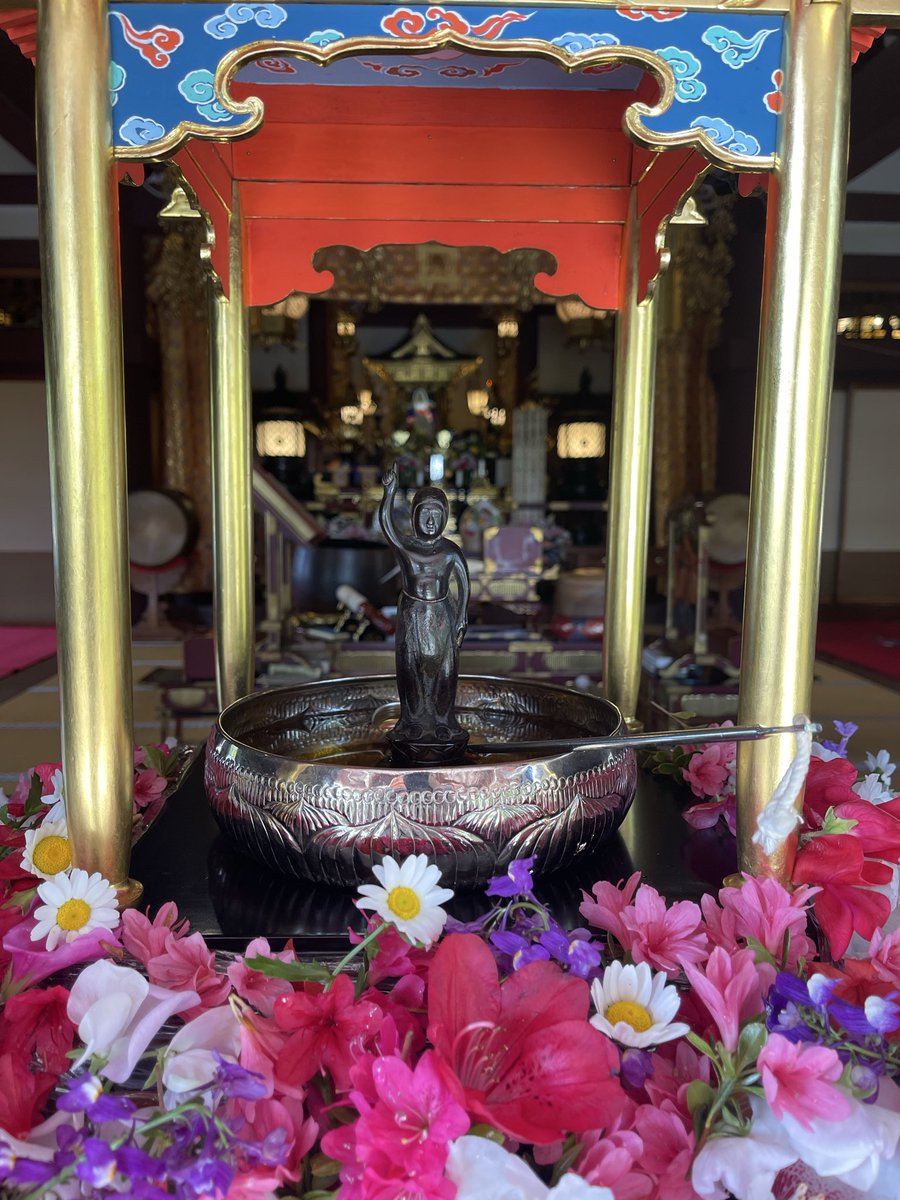 日蓮宗 宏善寺 tweet media