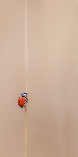 Brandon Swan tweet media