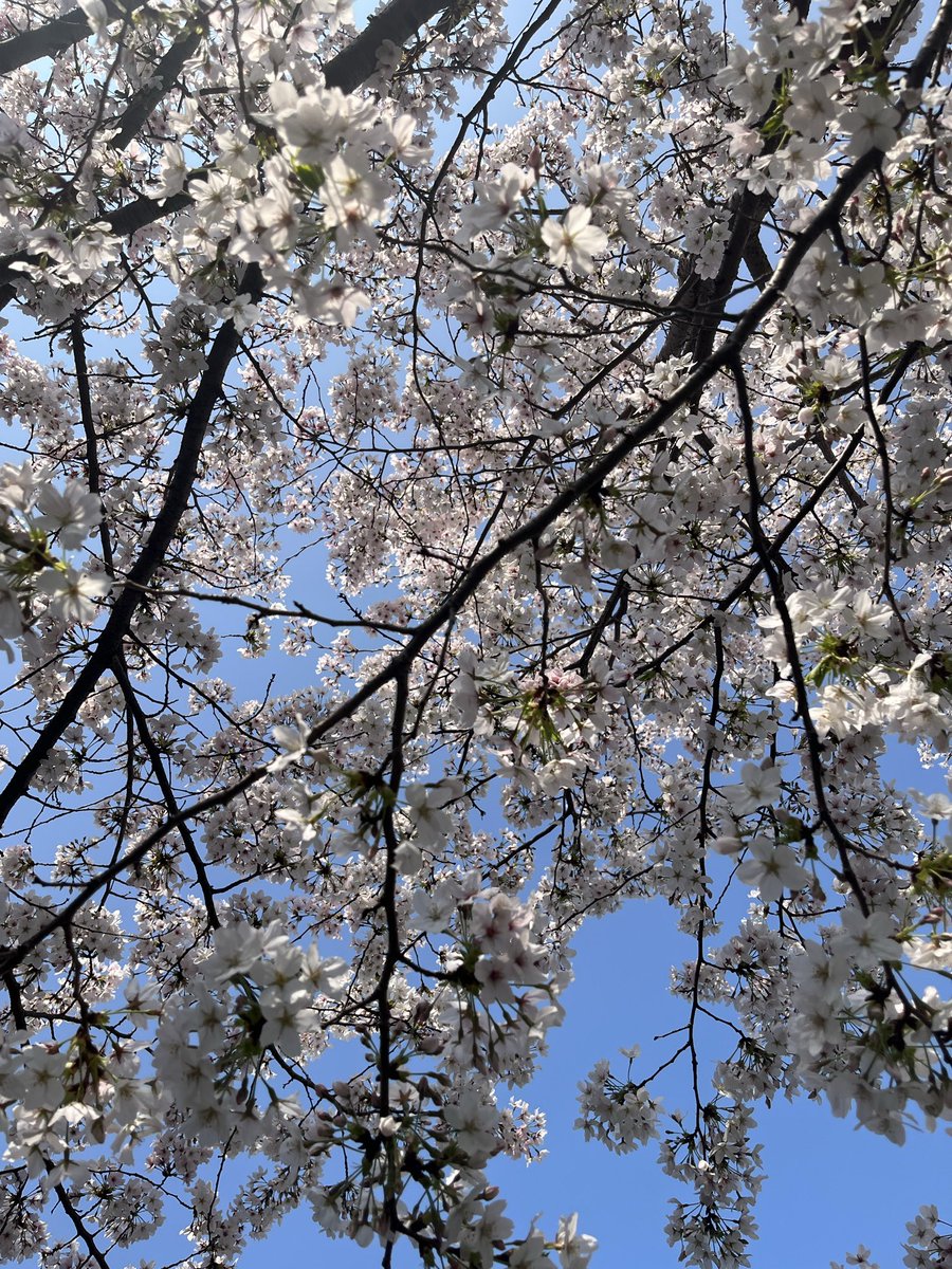 林勇☆SCREEN mode .Vo YouTubeやってます！！ tweet media