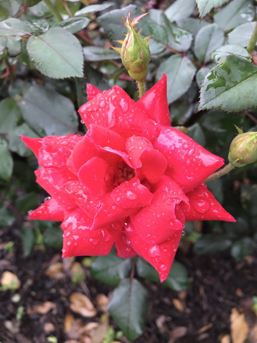 SıLэПТxGuЯu tweet media