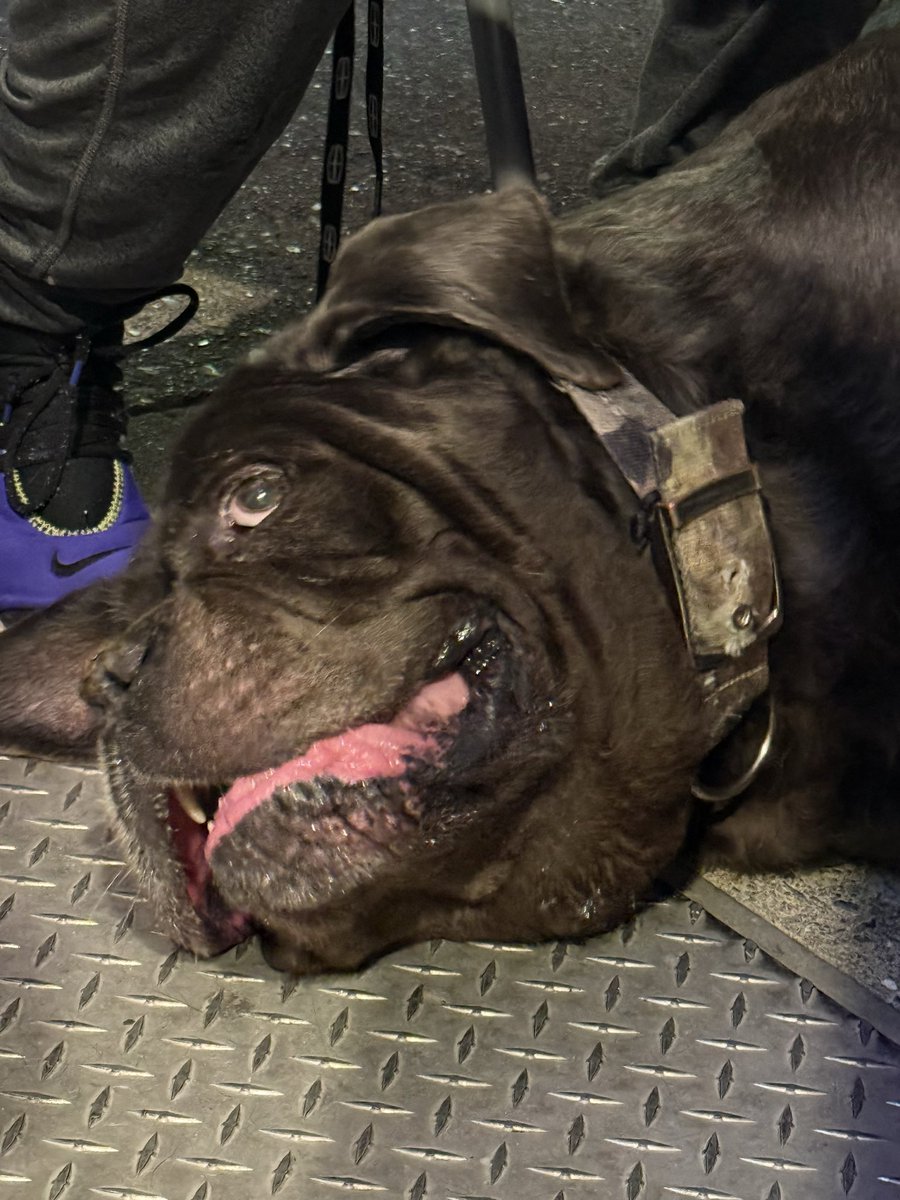 You said she’s free? #pussy