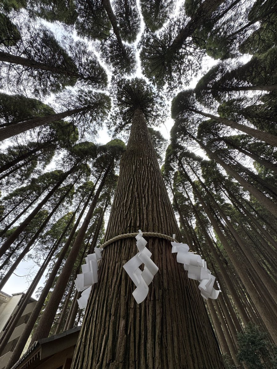 FX勉強中 tweet media