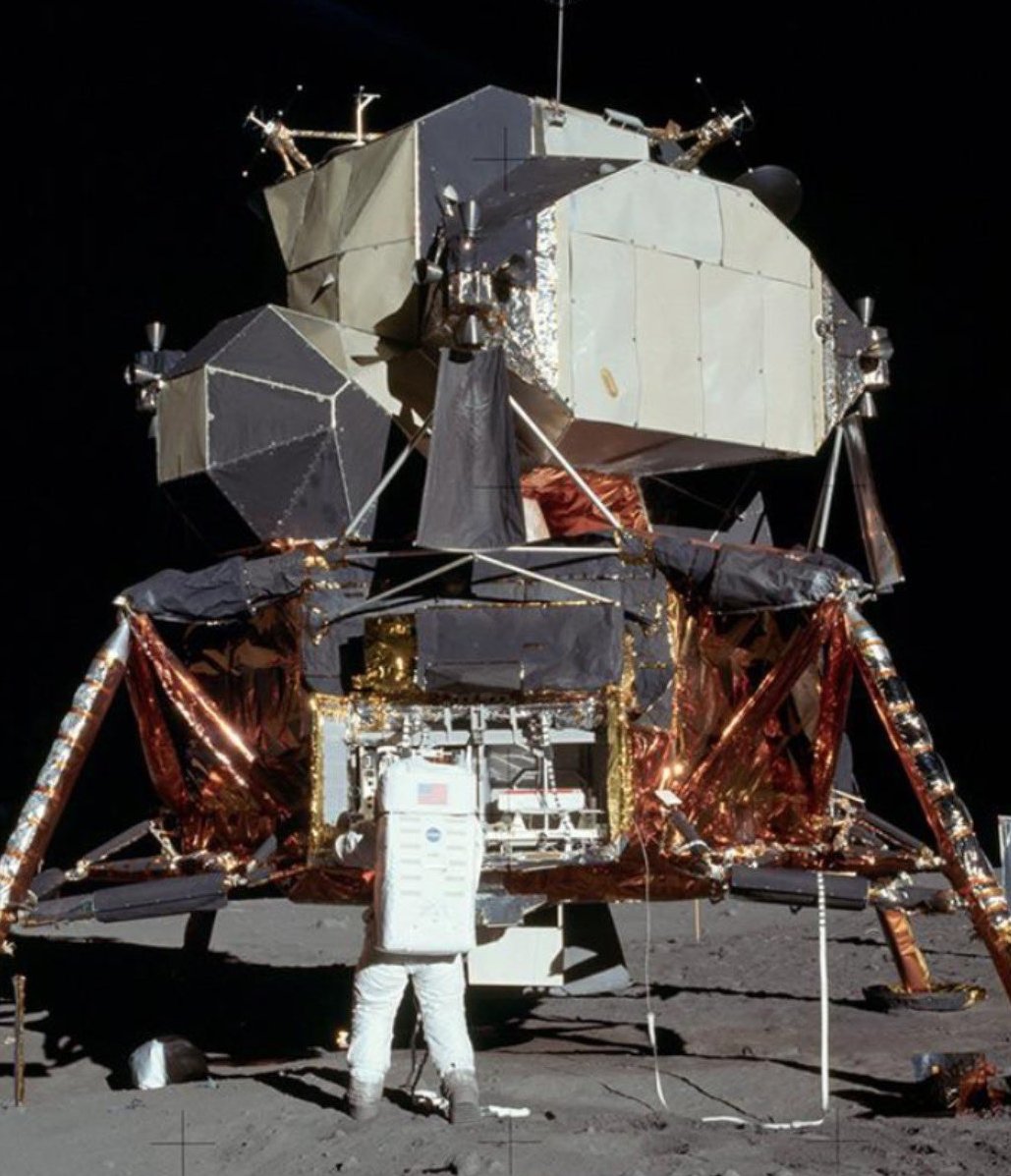 ⚡️🌞 Sol Brah 🌞🐬 tweet media