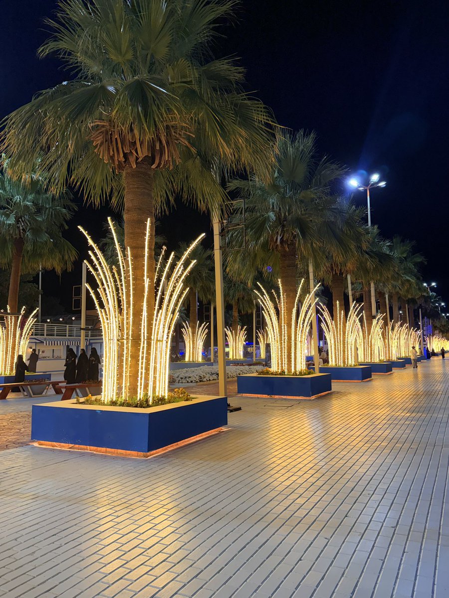 فاطمة الغامدي tweet media