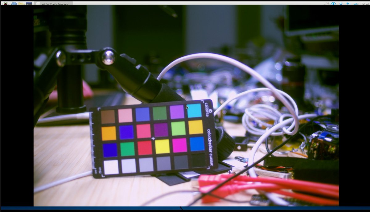 will whang🌻 tweet media