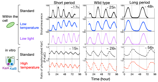 ScienceOU tweet picture