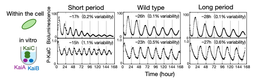ScienceOU tweet picture