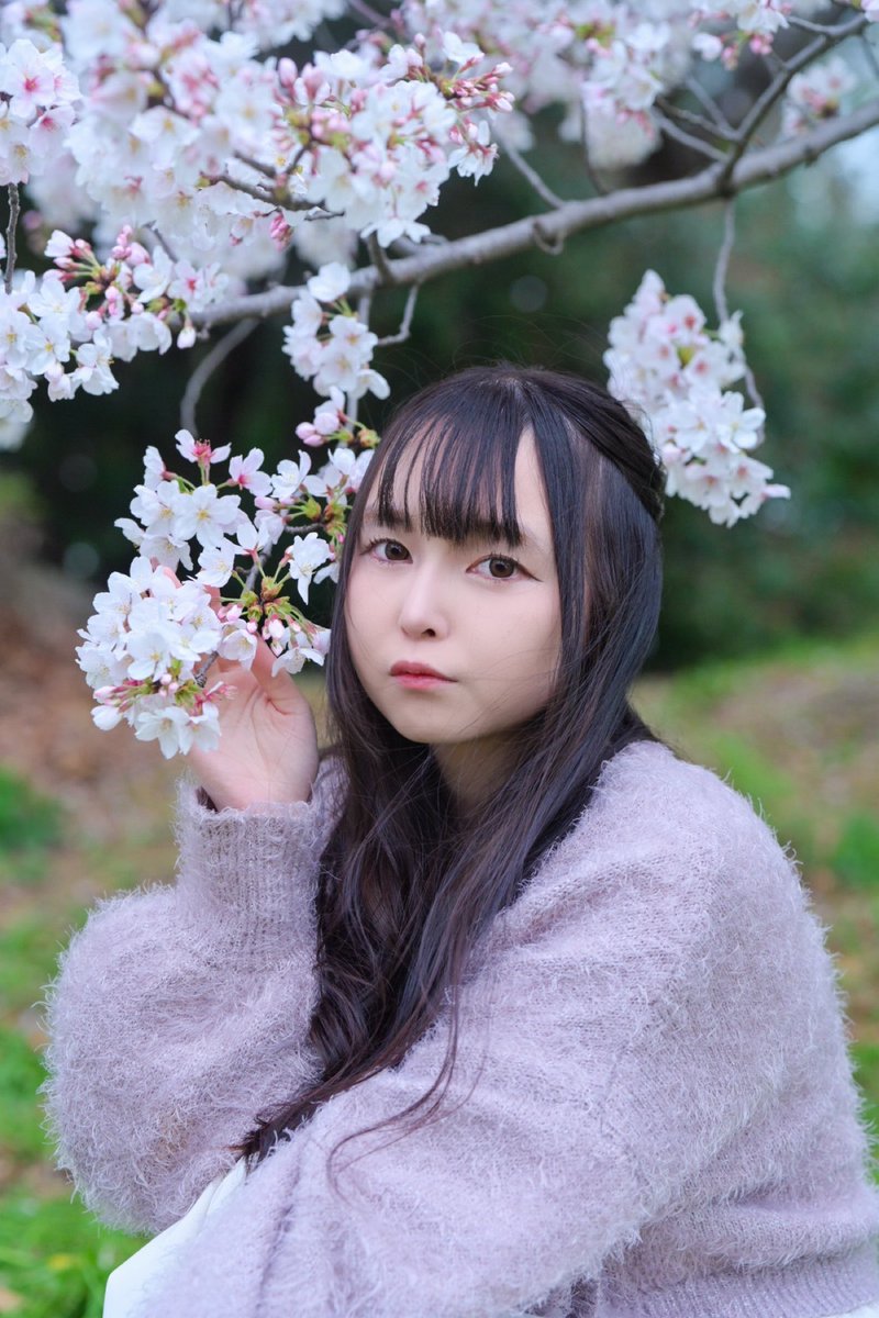 坂上 未優 (さかがみ みゆ) tweet media