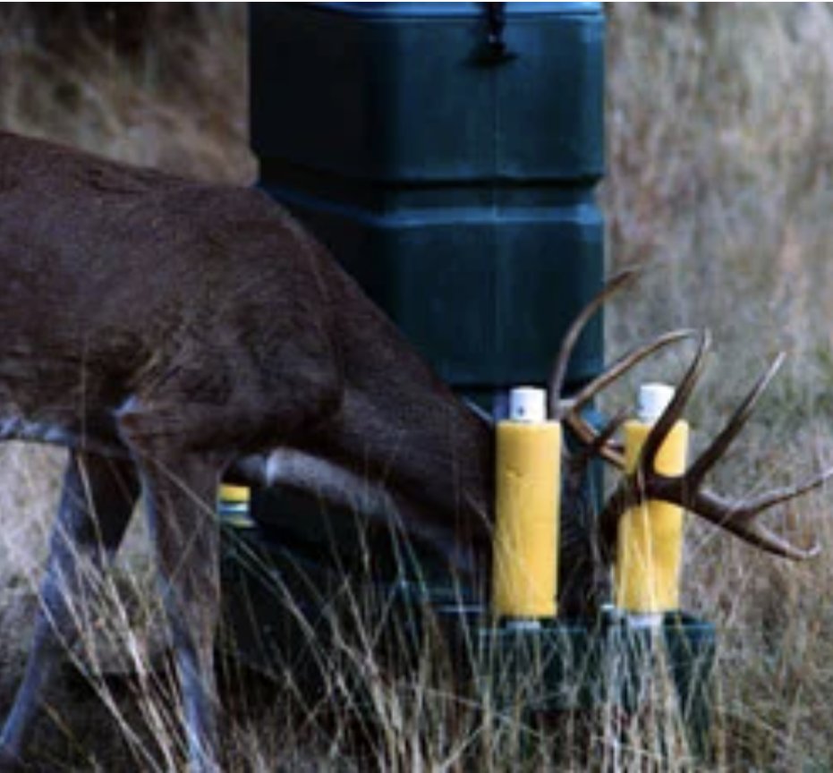 Duanebarry tweet media