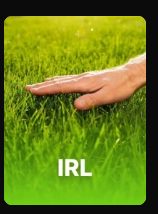 Red | #GatitaEvaFan tweet media