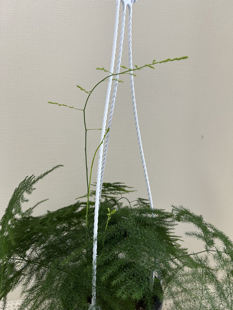 이다하다 tweet media