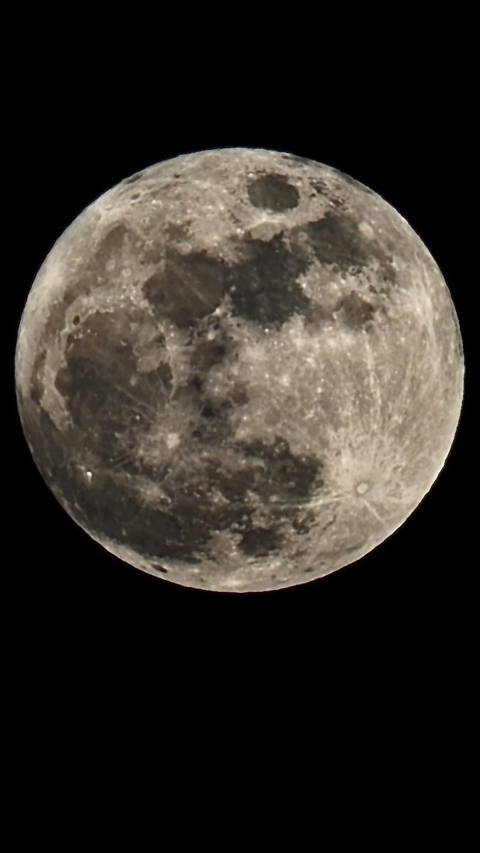 Danielle Bellemare tweet media