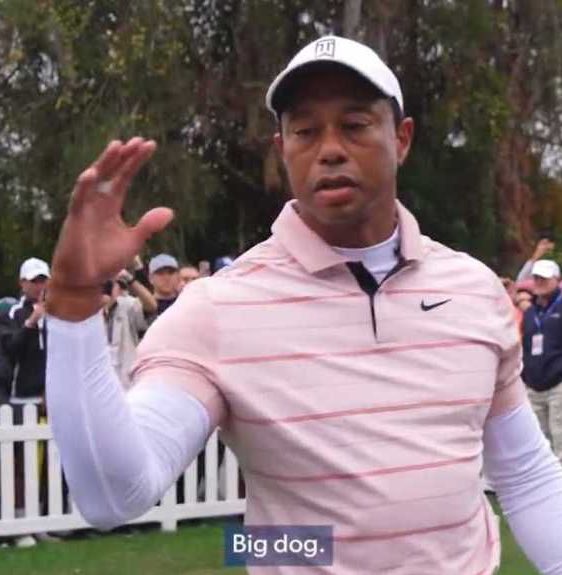 HARD FACTOR tweet media