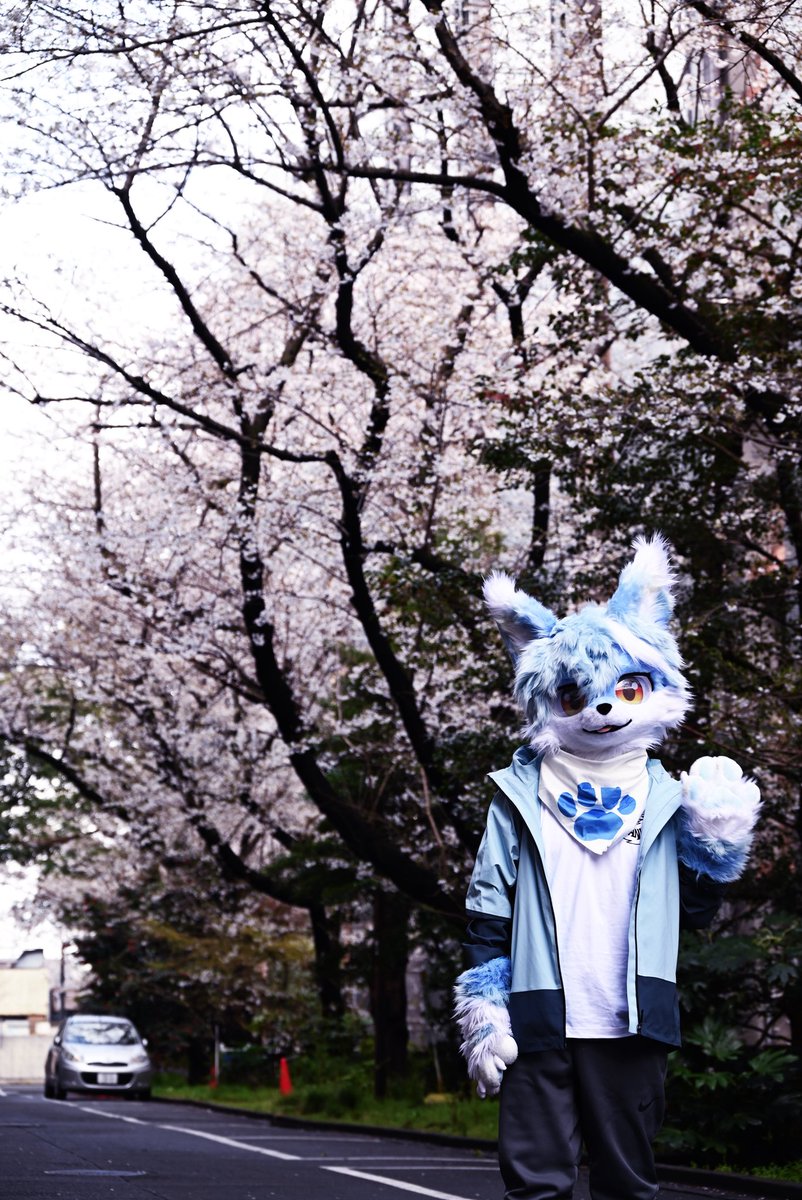 kawaraku➡️HiFurry tweet media