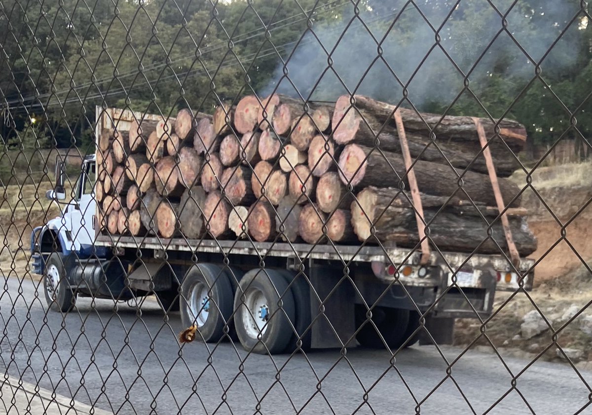 Vero Islas tweet media