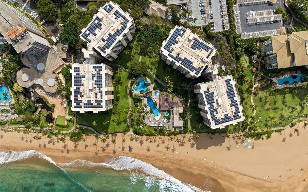 Hawaiʻi Life tweet media