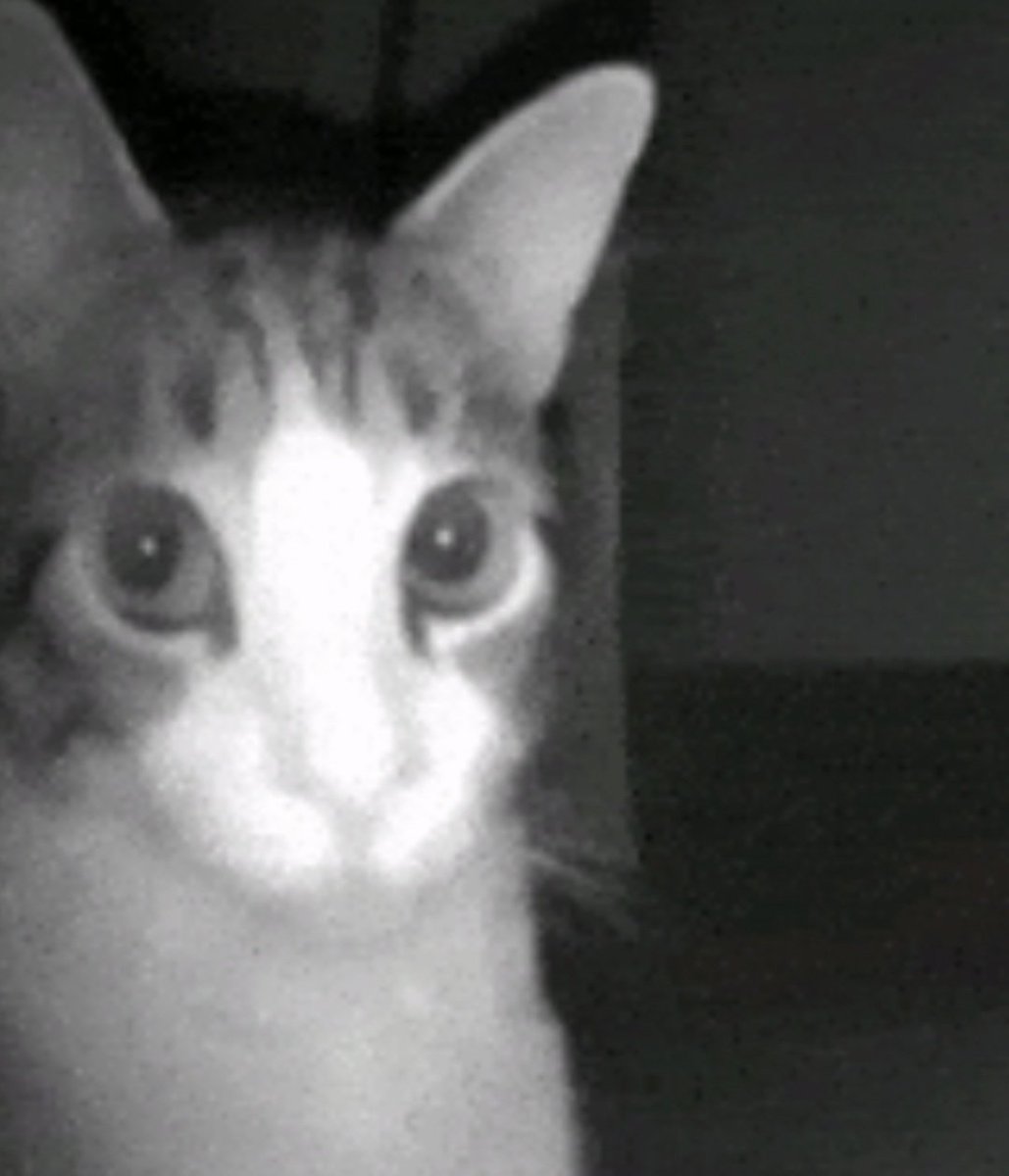 Kalera Updates tweet media