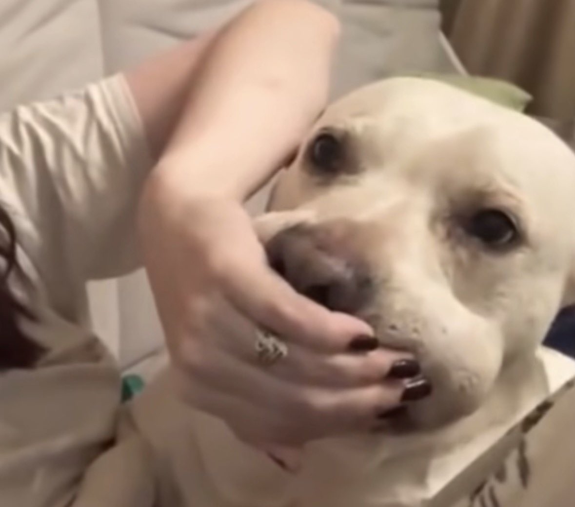 Messy_Project01 tweet media