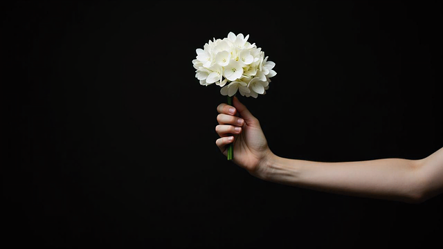 Micheal Foster tweet media