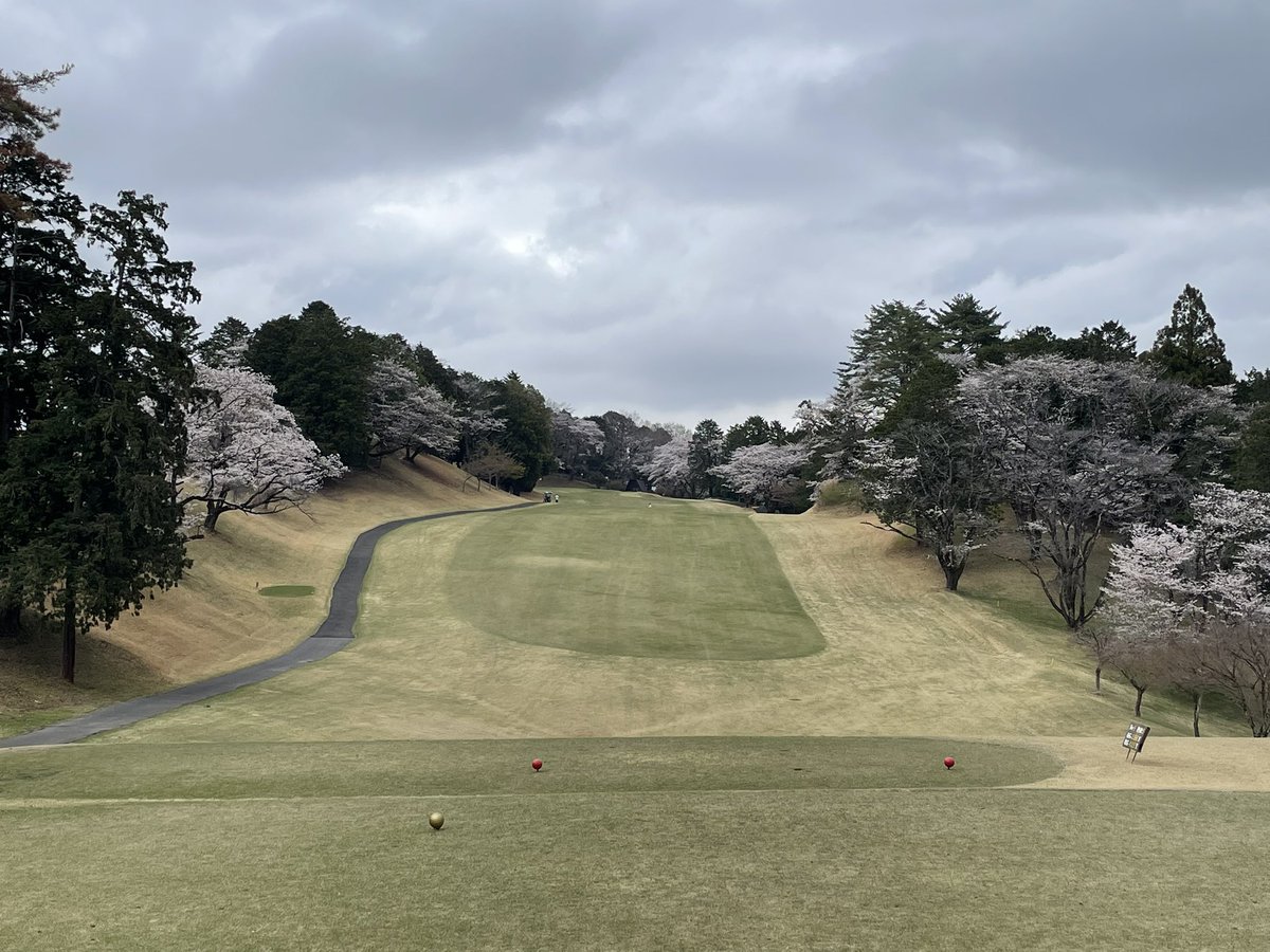 ゆたろ tweet media