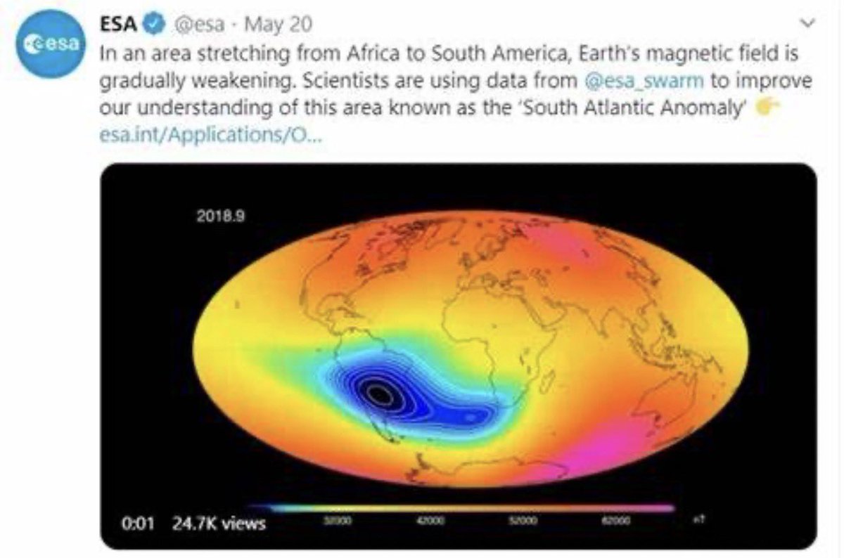Judith Stone tweet media