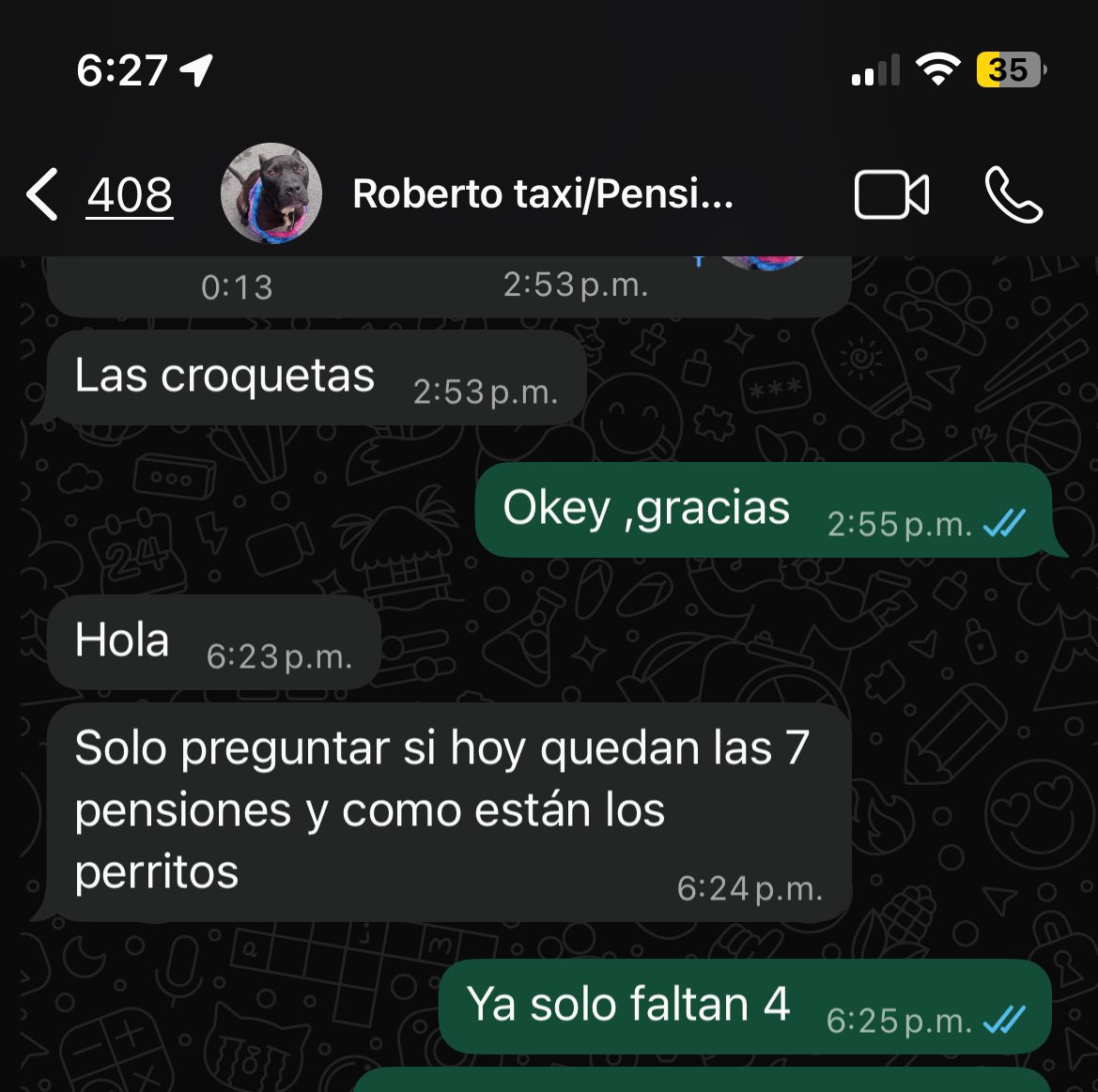 𝙷𝚎𝚕𝚊 𝙼𝚘𝚛𝚎 🐶 tweet media