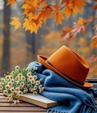 A. L . I. A tweet media