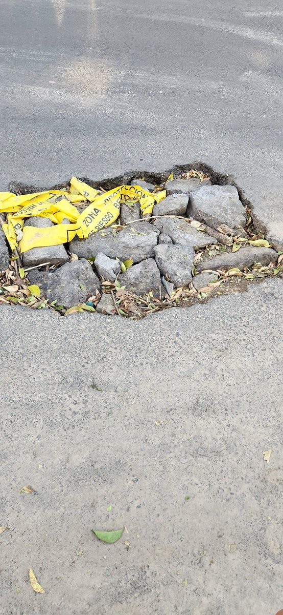 Boskyat's tweet photo. A metros del Comité Directivo PAN Benito Juárez (@PAN_CDMX) sobre Anaxágoras entre Eugenia y Concepción Beistegui. Estos baches están desde hace un mes @LuisMendozaBJ. Ojala cuidaran más a sus vecinos de la alcaldía... https://t.co/XuCoRZv9w2