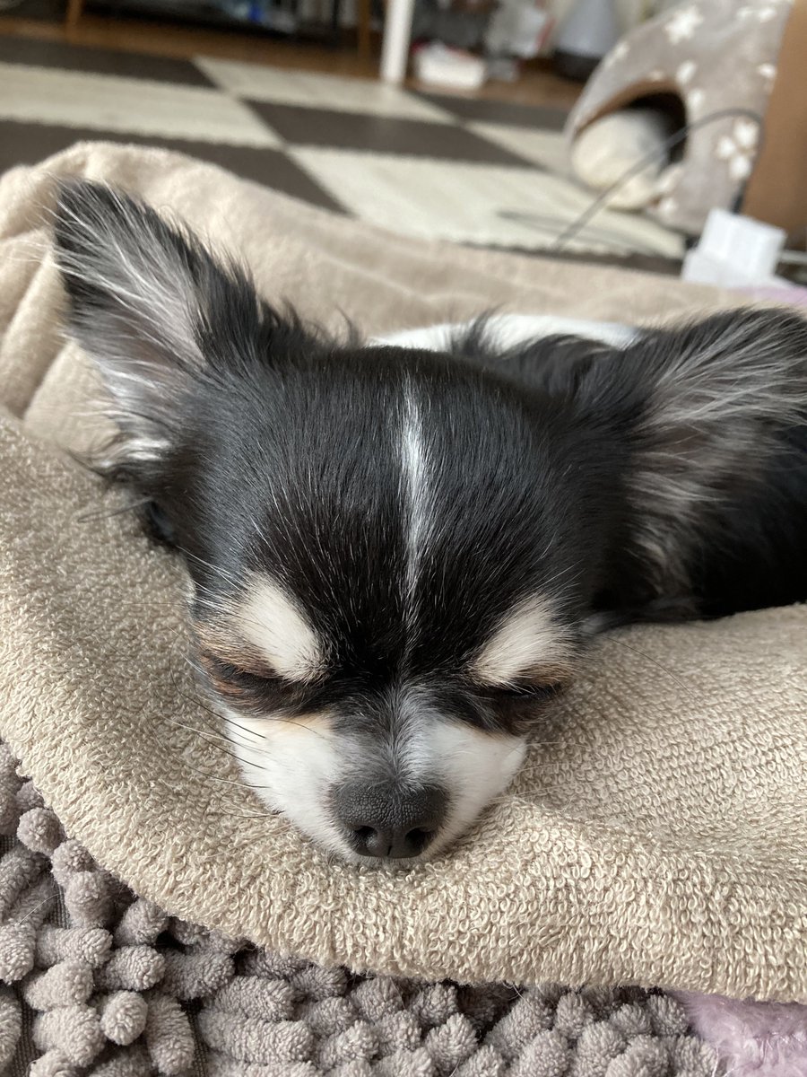 転‏‎ ‎生 ‎し‏‎ ‎た‎ ‎山‏‎ ‎田 tweet media