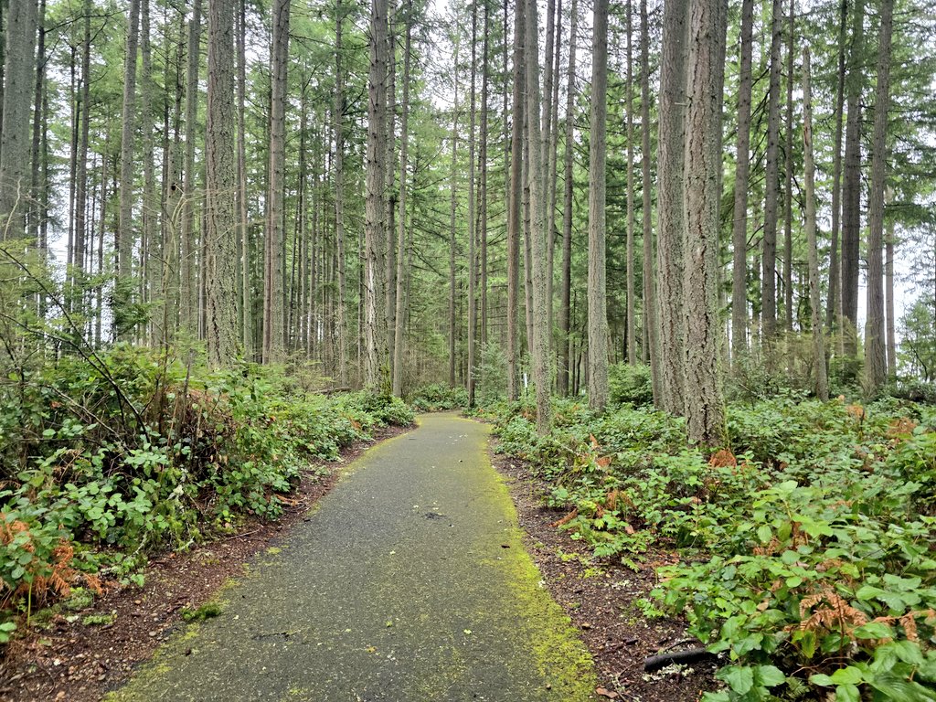 AdvSoleVibes's tweet photo. "Just crushed a refreshing 2-mile run through the misty forest 🌲👣Size 9 adventure soles are warm, slightly wet, and feeling every step.
Want a closer look?
Link in bio for FeetFinder 👣
OutdoorFeet #TrailFeet #ActiveFeet #Soles #BareFeet #FootFetish  #FeetPics" https://t.co/CGv7QJbyYZ
