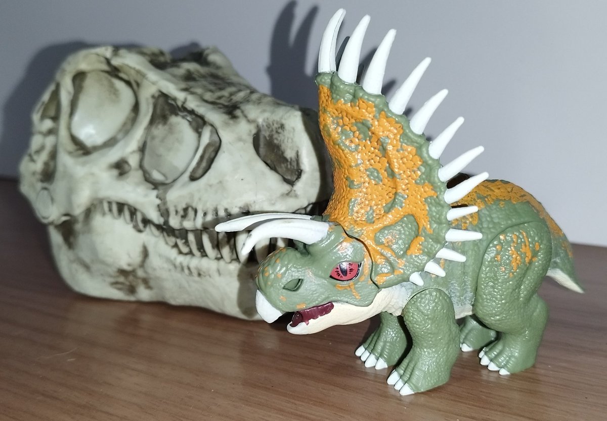 🪸 Cyclopes 🐙 tweet media