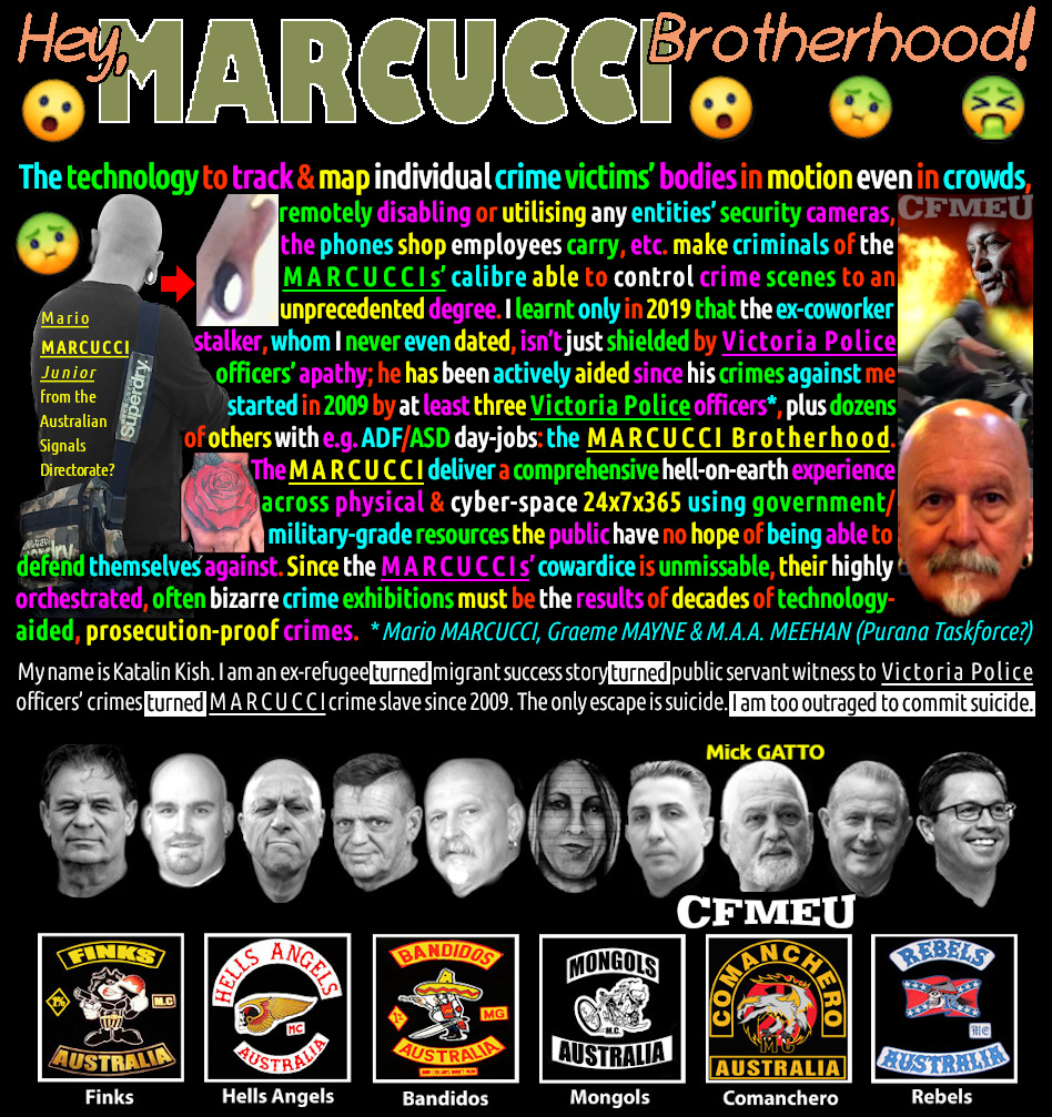 Katalin Kish: MARCUCCI/Mick GATTO CrimeTechTestToy tweet media