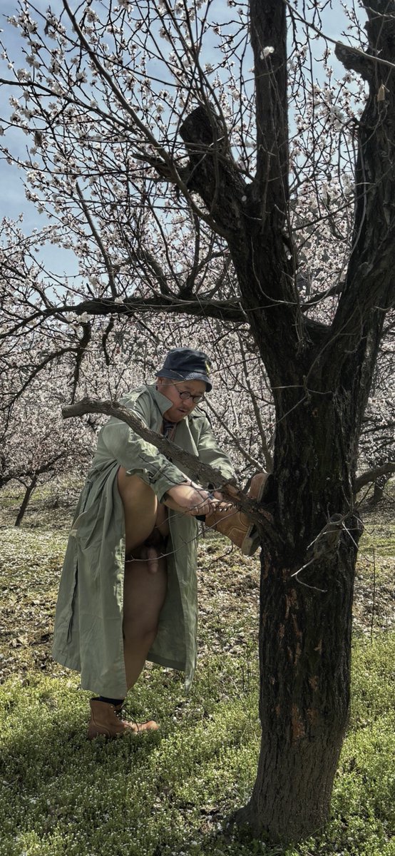 针叶林的世界 tweet media