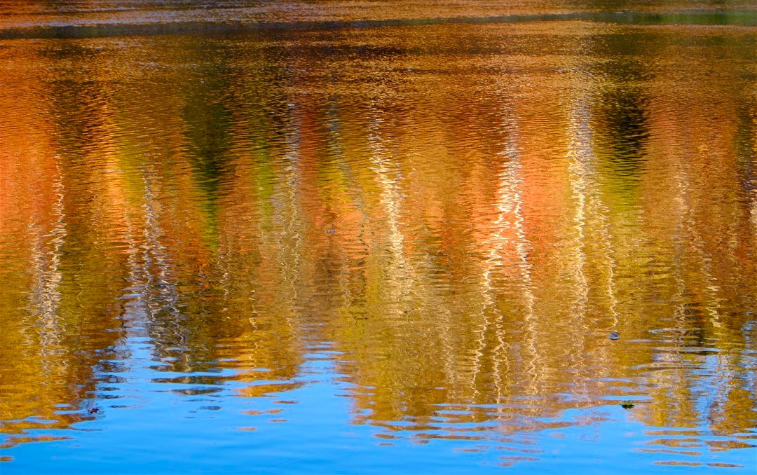 Mikesjournal tweet media