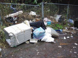 姜一星 カンイルソン 강일성 tweet media