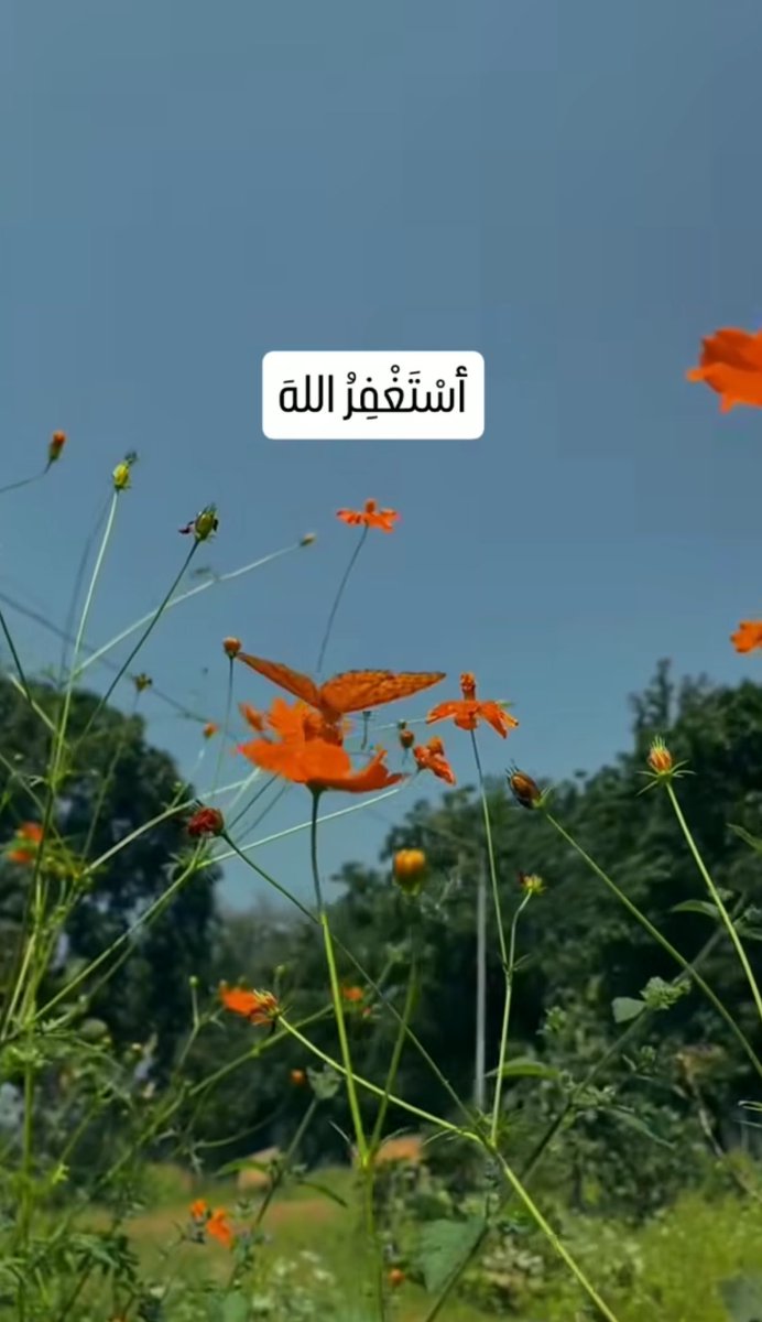 originality0's tweet photo. #الاستغفار_يذهب_عنك_الهموم https://t.co/iJfkgBrG0r