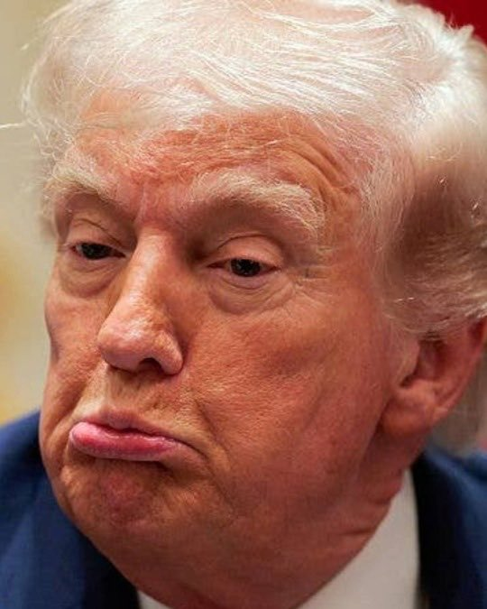 BrooklynDad_Defiant!☮️ tweet media