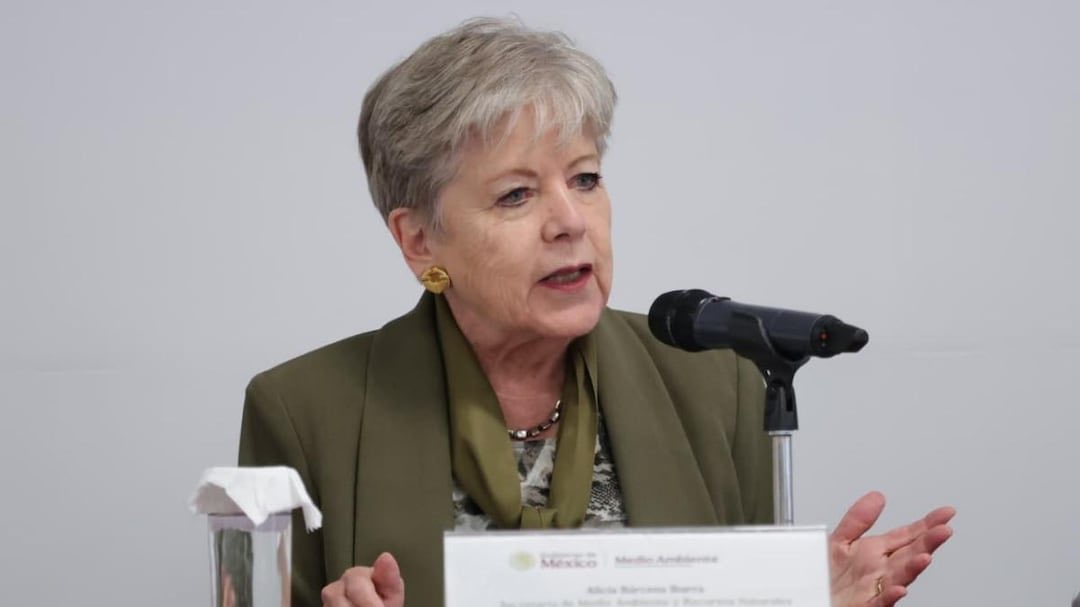 Lucía Hernández | Amo La Ciencia tweet media