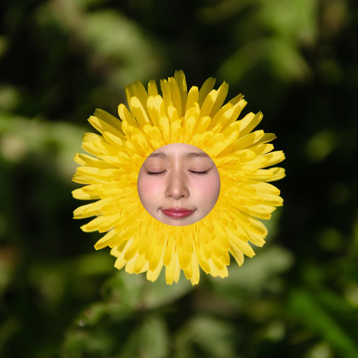 Minju. tweet media