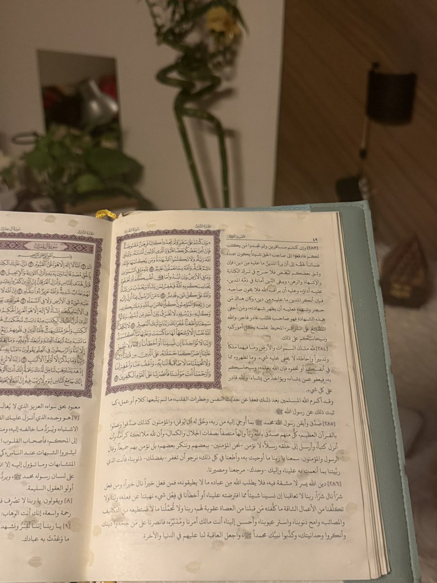 مُــنى tweet media