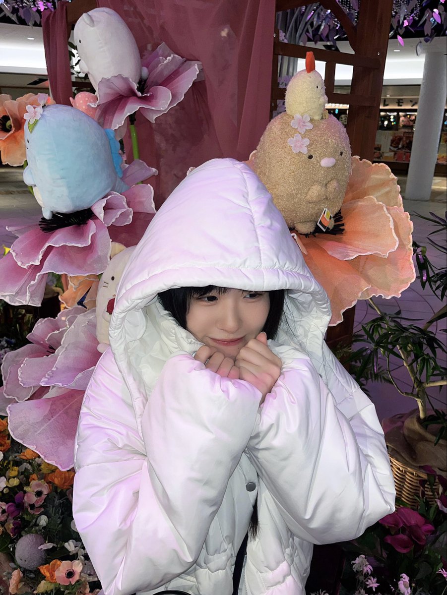 花咲 舞果【+Alpha】 tweet media