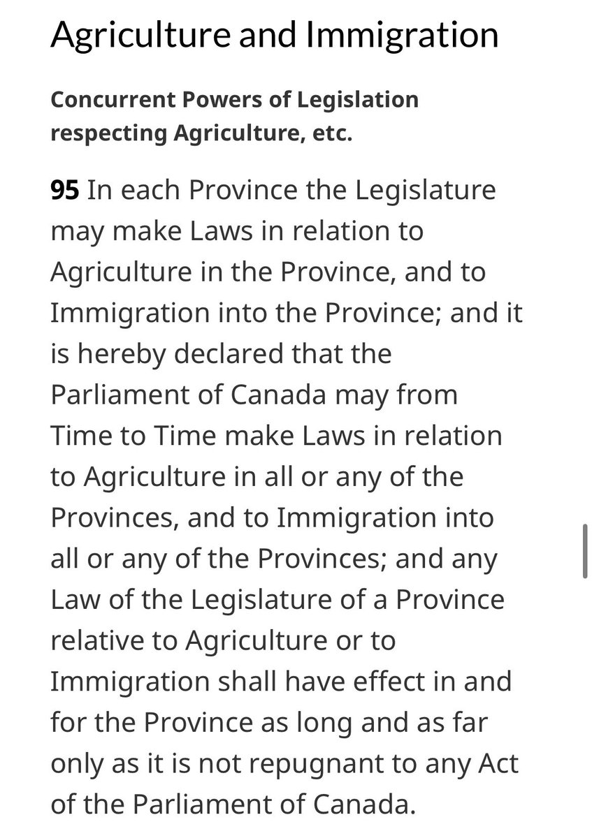 Hunter Baril tweet media