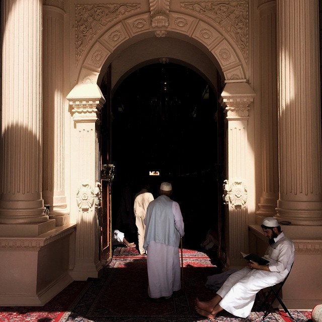 julaibib tweet media