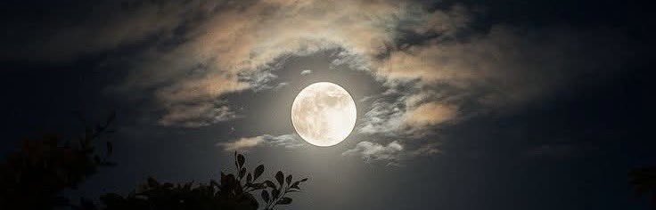  ᓚ۶ᒧɹɹ̈̇ɹཻɹ̈ 𓅇 tweet media