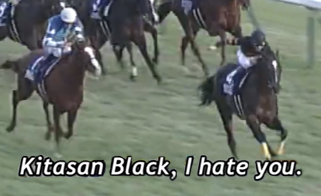 Cheval Grand in the flesh tweet media