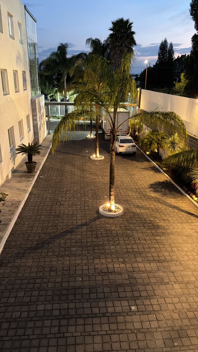 Rodolfo Ruiz R. tweet media